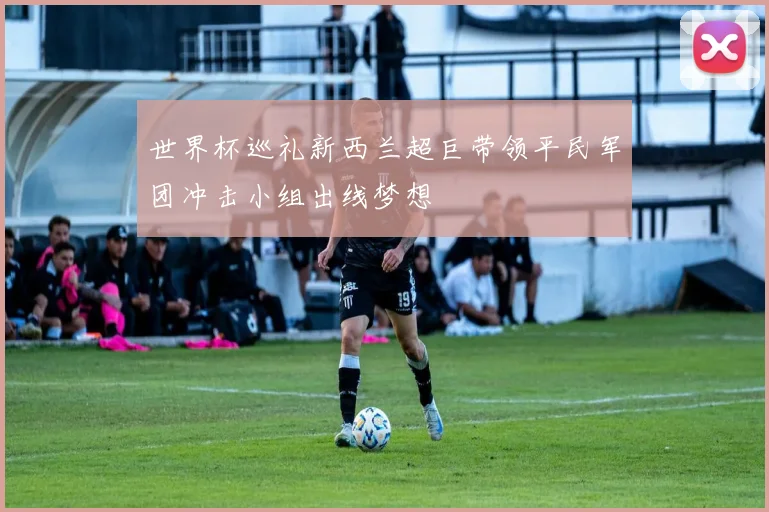 世界杯巡礼新西兰超巨带领平民军团冲击小组出线梦想