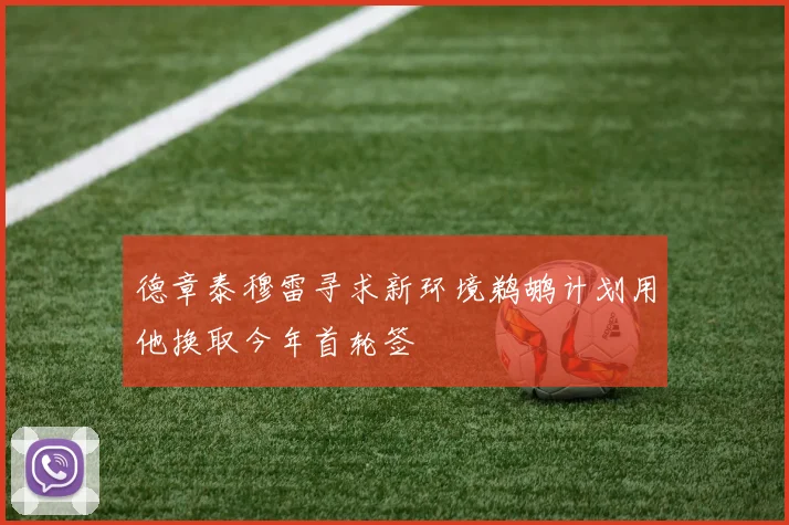 德章泰穆雷寻求新环境鹈鹕计划用他换取今年首轮签