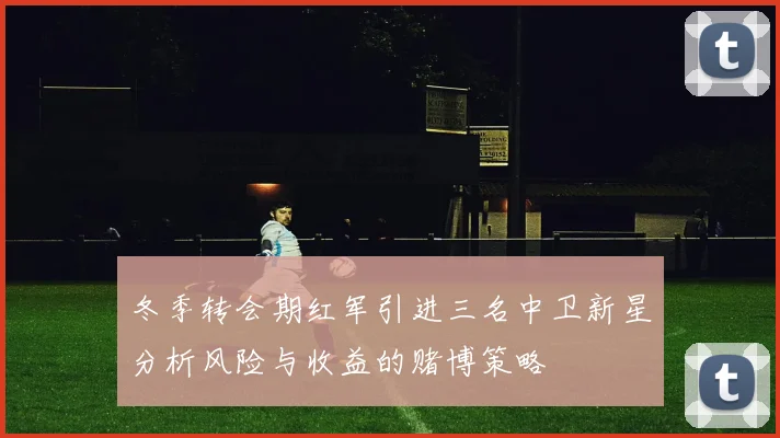冬季转会期红军引进三名中卫新星分析风险与收益的赌博策略